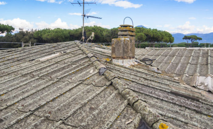 Dust Compensation Payout