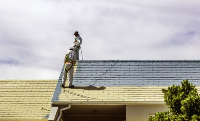 Income Protection Insurance Claim